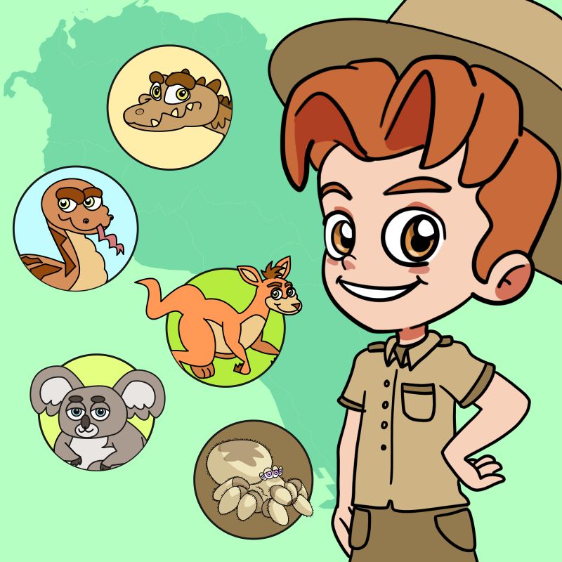 Baby Chicks interior pages