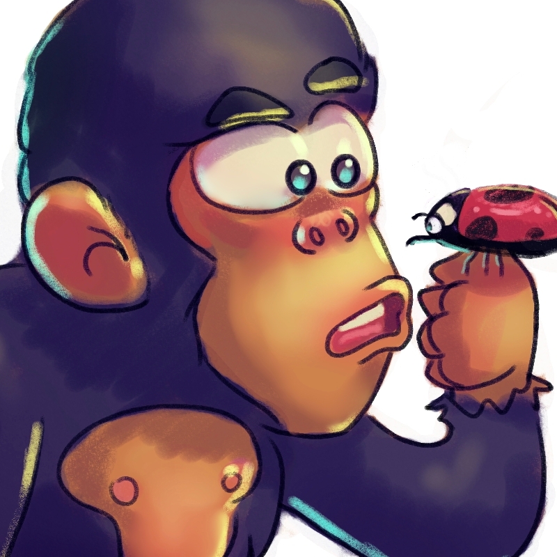 Ladybug and Monkey Children's book